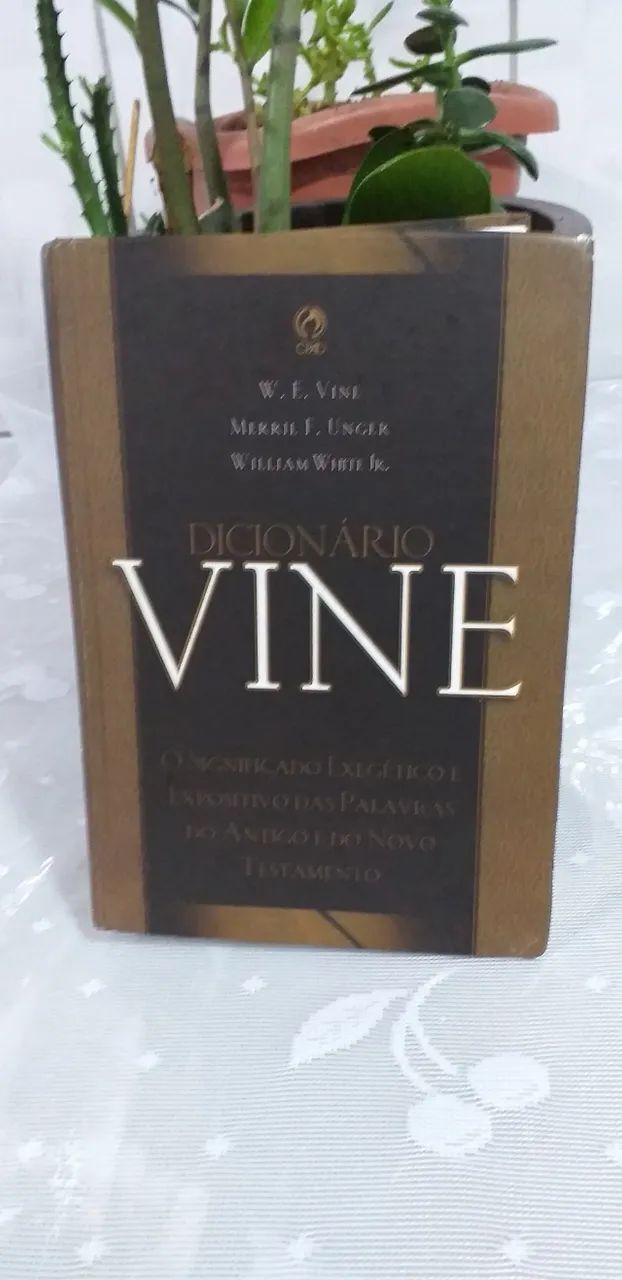 Dicionário Bíblico Vine Cpad O Significado Exegético E Expositivo Das Palavras 
