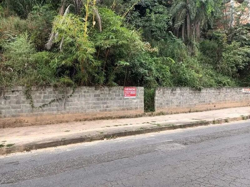 Lote à venda, Buritis - Belo Horizonte/MG - Foto 2