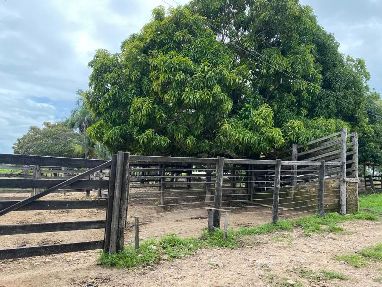 Fazenda plana em Itapirapuã  - Foto 2