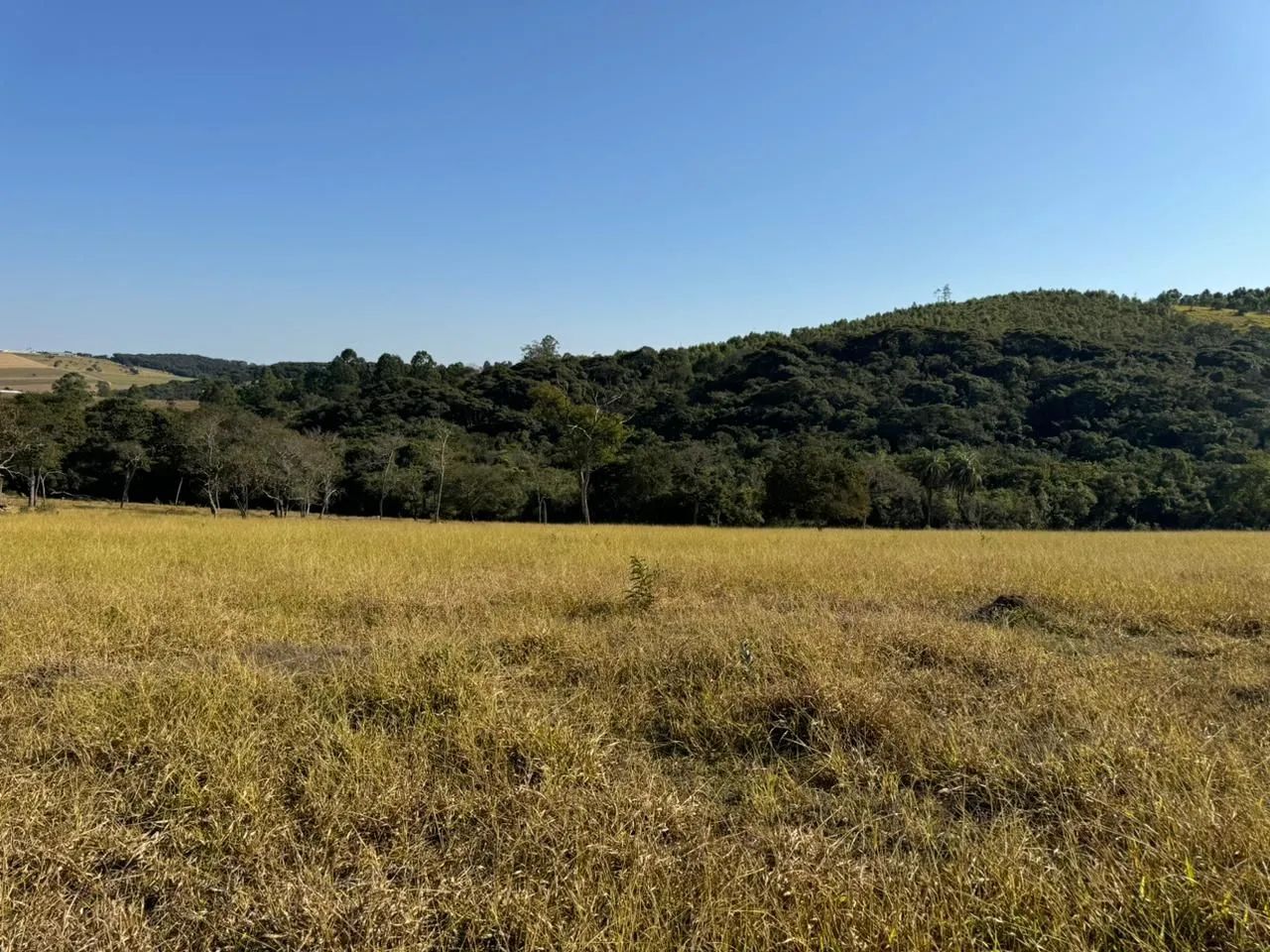 Terreno rural  - Foto 2