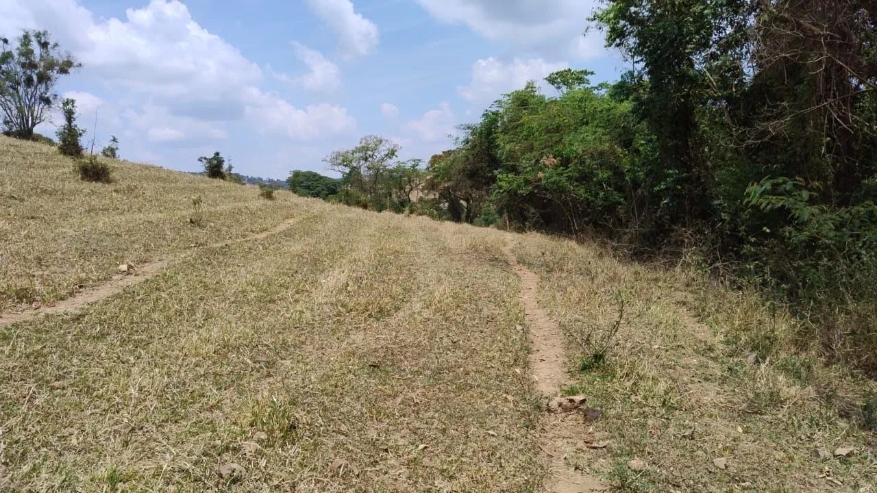 Terreno Bueno Brandão 