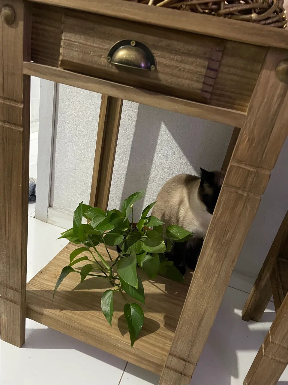 Mesinhas rústicas 64276676227843120