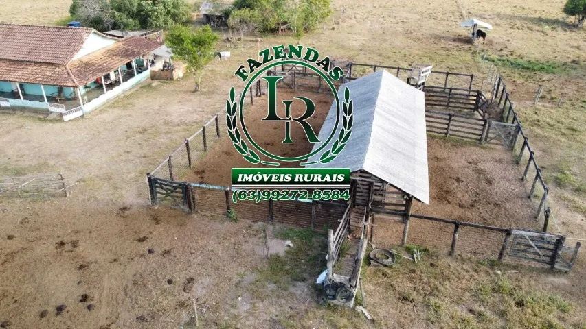 Fazenda 20 Alqueires com Plantio açai - Foto 3