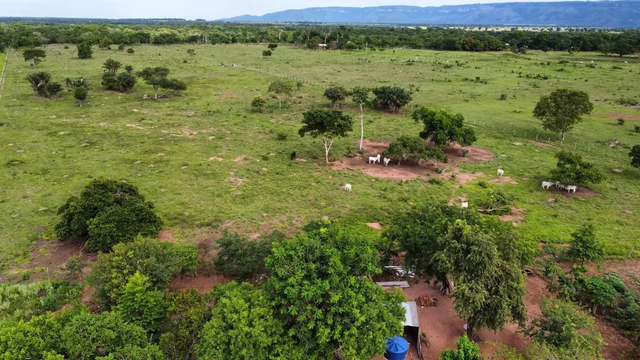 Sítio c/ 12,5he, beira de Rio, 50km de Cuiabá-MT - Foto 2
