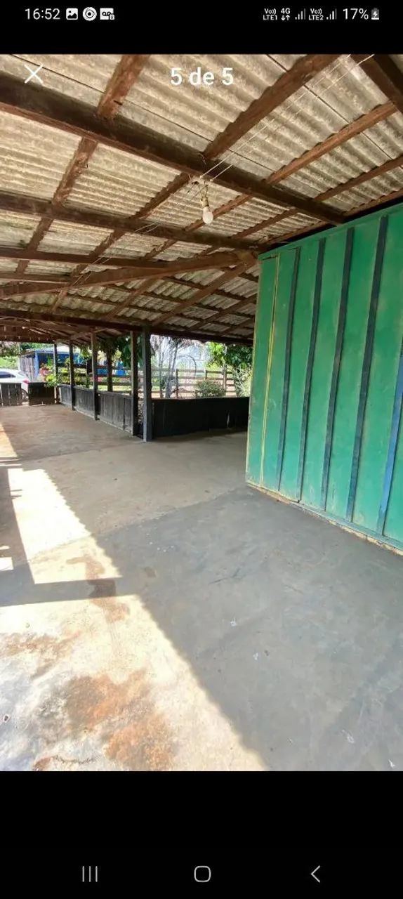 Roxinho mucajai  - Foto 2