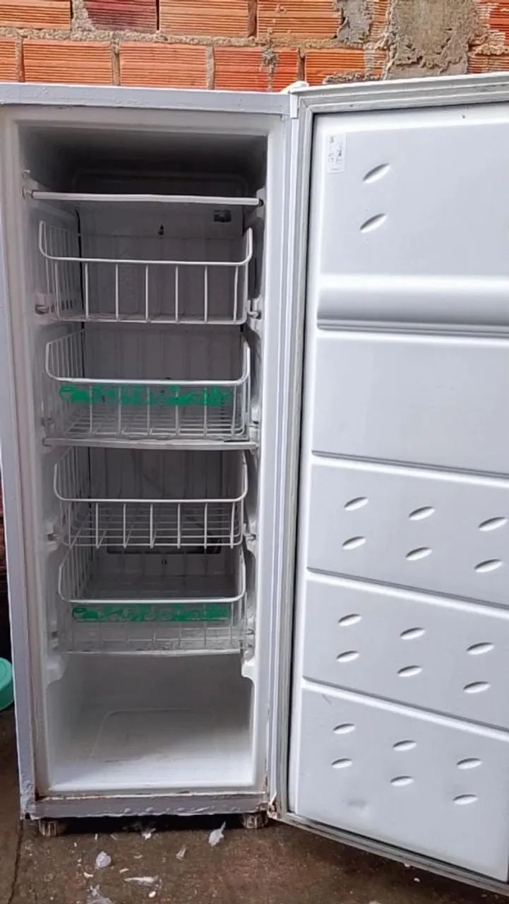Freezer vertical 
