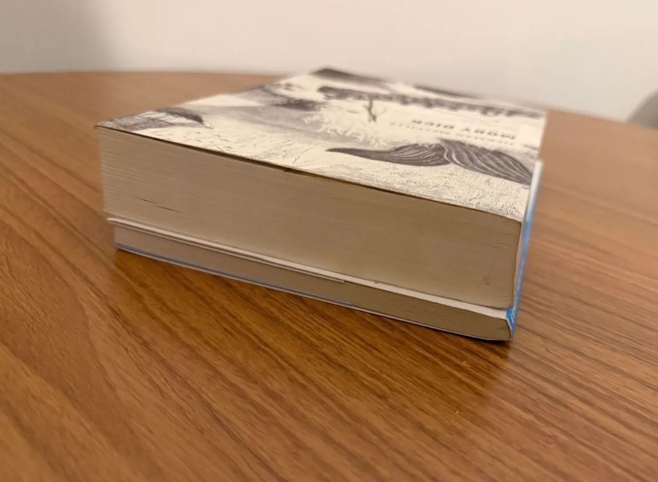 livros moby dick + o velho e o mar  - Foto 4