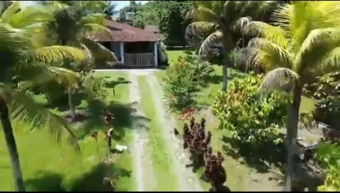 Vende-se chácara  - Foto 3