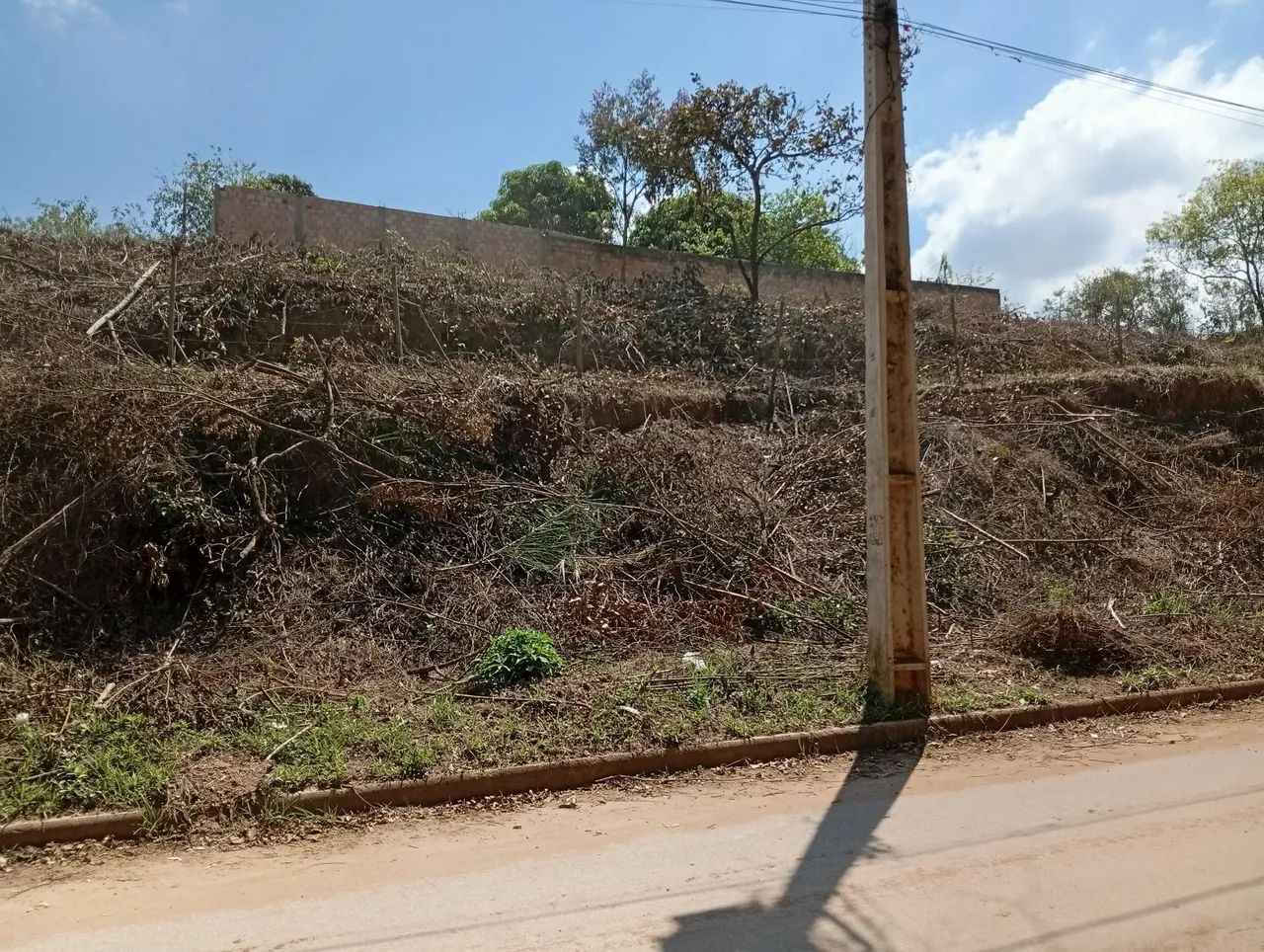 Lote - Foto 5