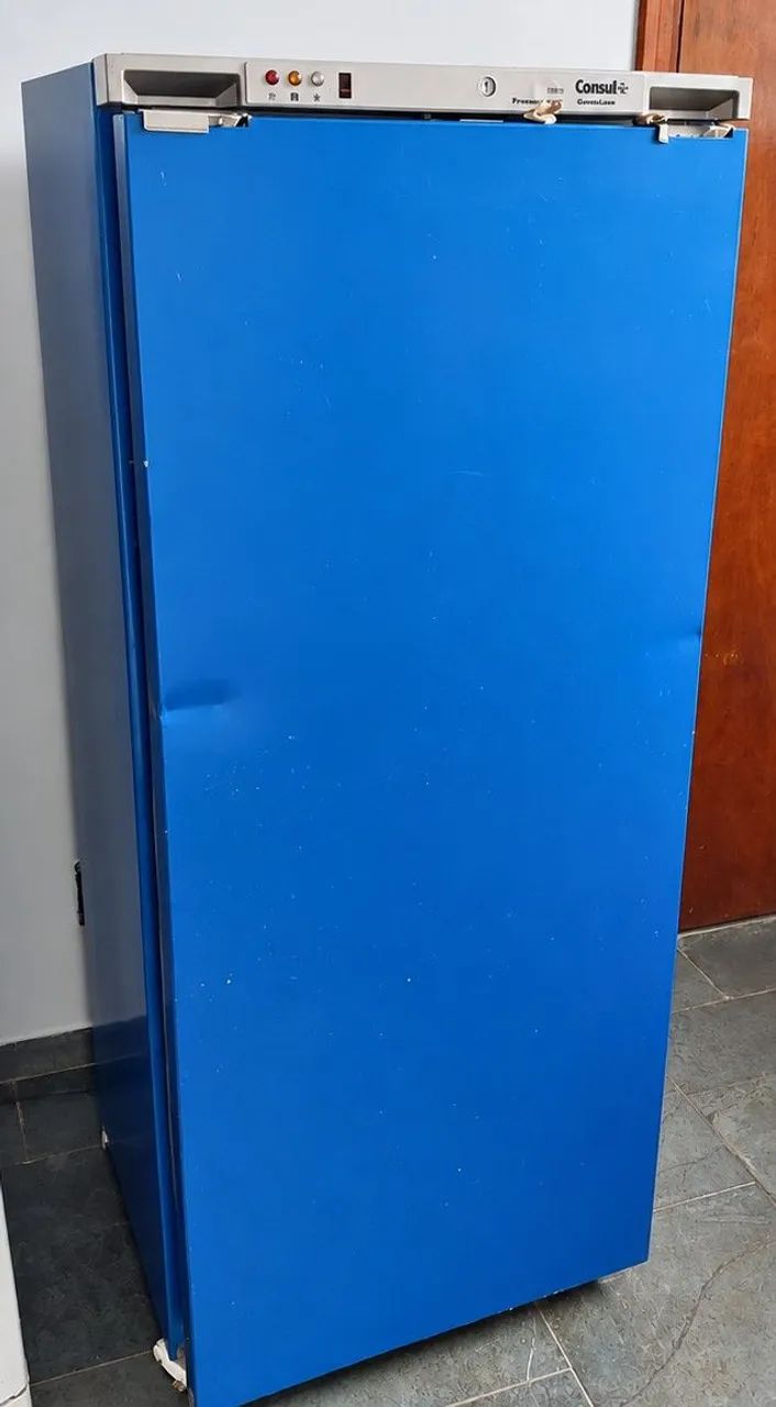 Freezer Vertical Consul Gran Luxo ? 280 litros