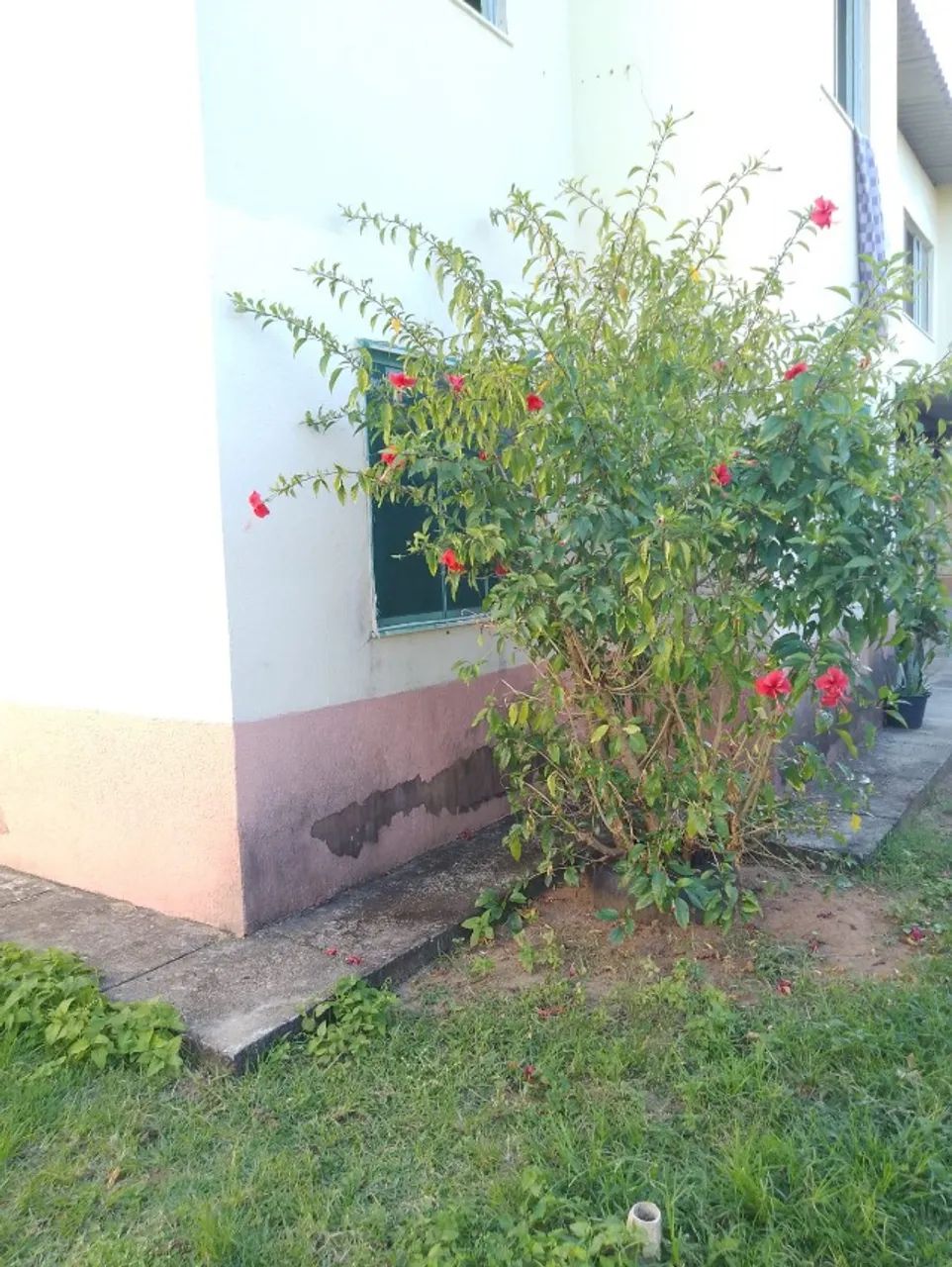 Apartamento - Foto 2