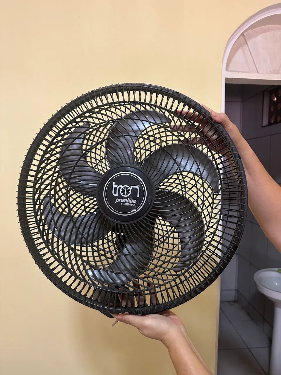 Ventilador de parede 