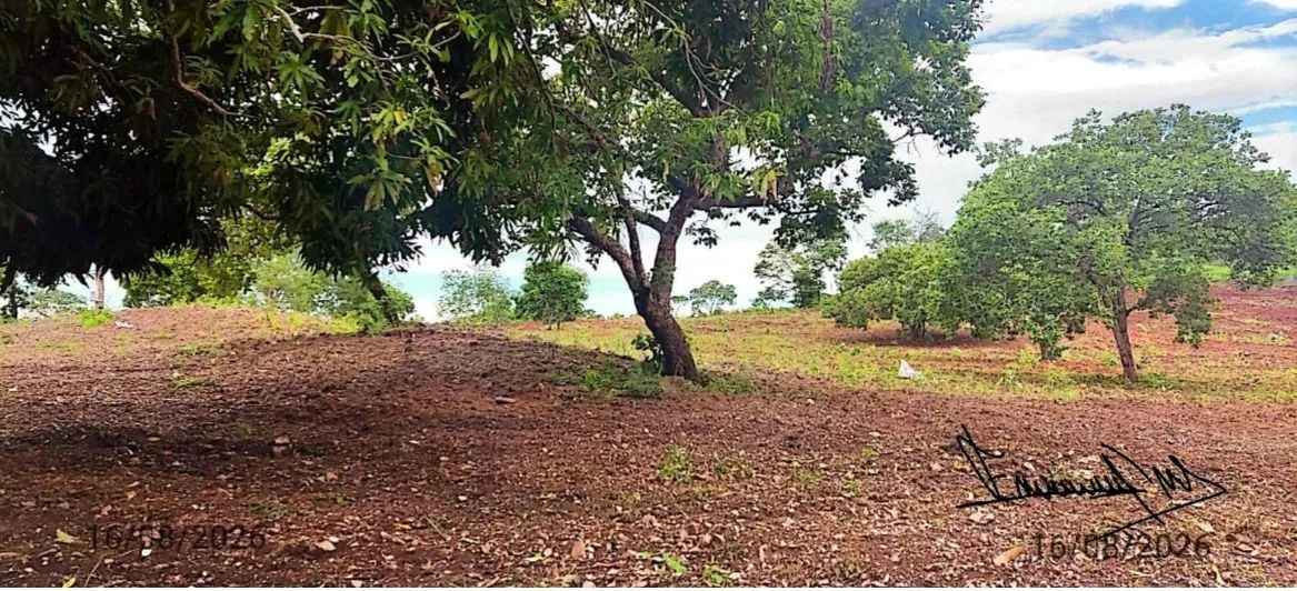 Fazenda 30 alqueires - Crixás GO  - Foto 3