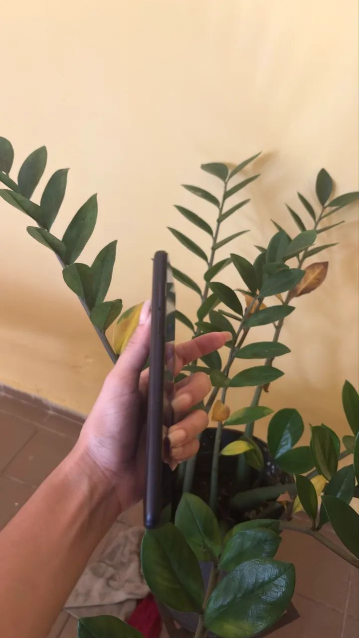 Moto G 5g