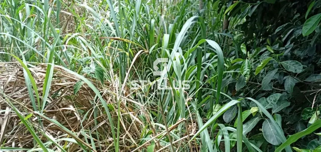 Praça Seca | Terreno - Foto 13