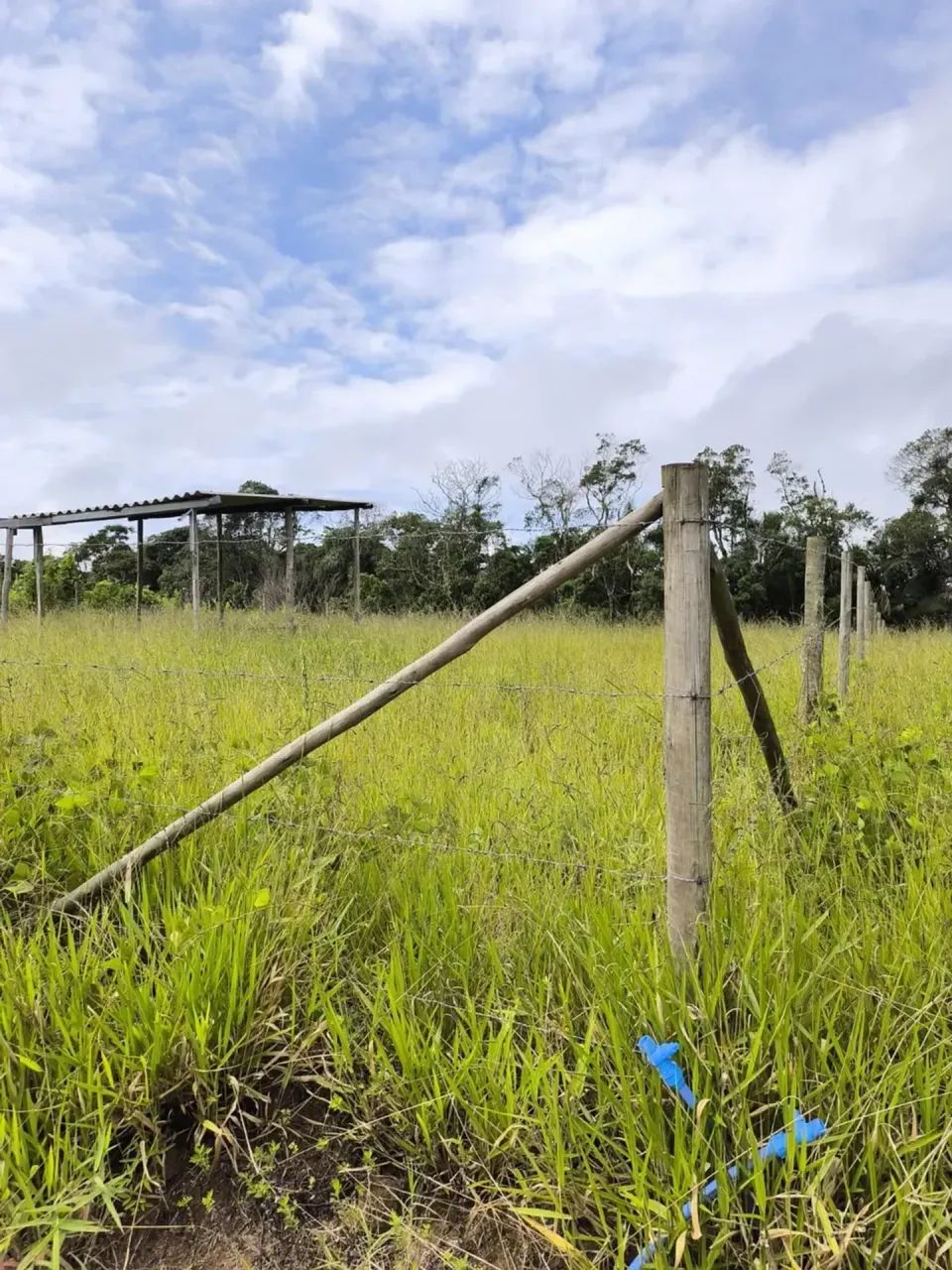 UM ESPAÇO PRA CHAMAR DE SEU EM IBIÚNA