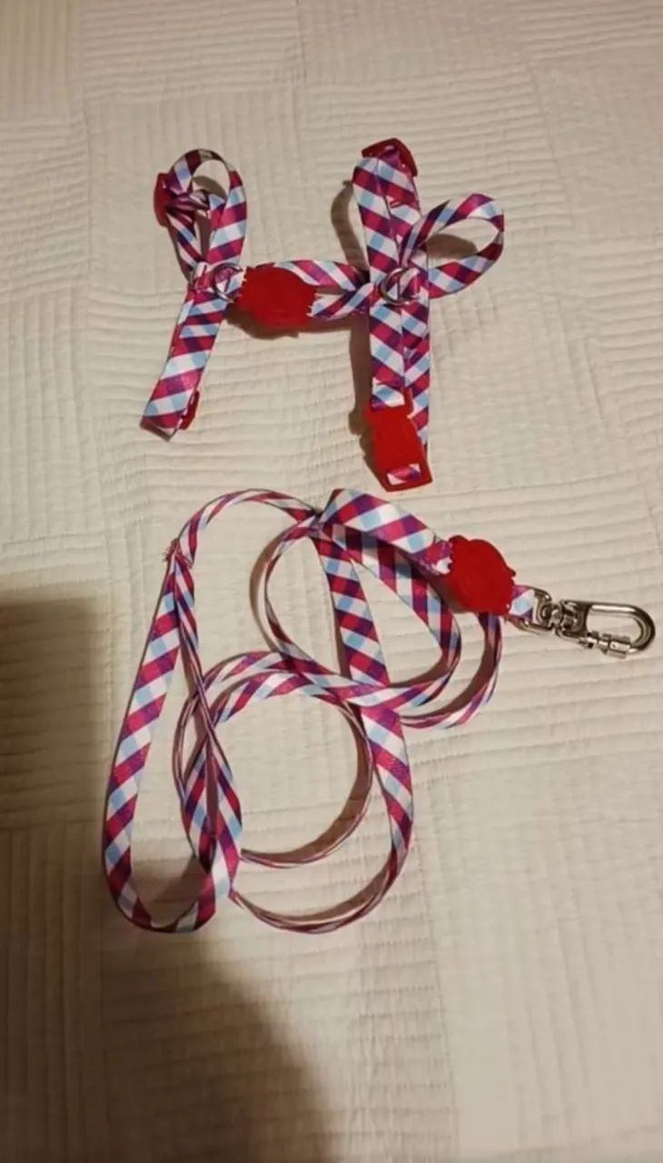 Coleira H + Guia para Cachorro <br> - Foto 2