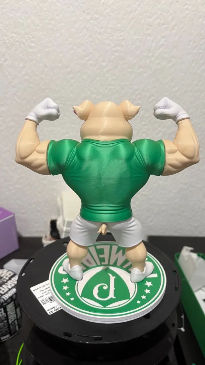 Mascote do palmeiras  - Foto 2