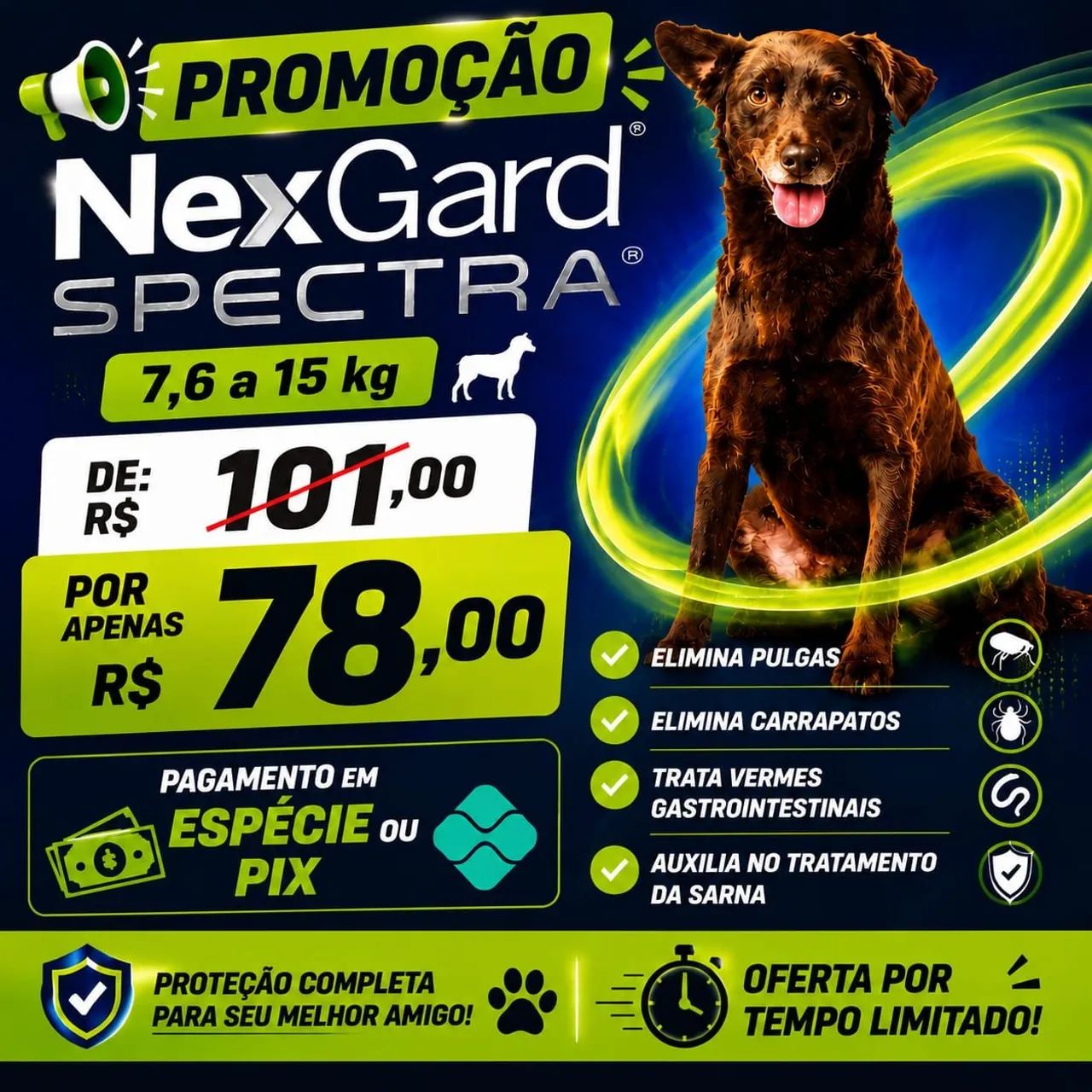 Nex Card 