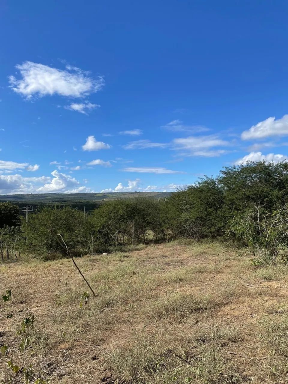 26 TAREFA EM IRAJUBA - Foto 4