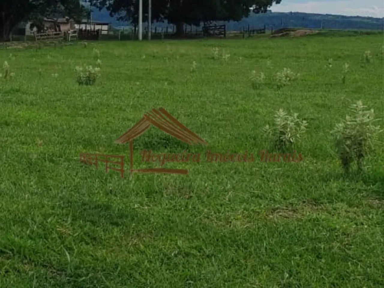 Fazenda com 137 alqueires em Garça-SP - Foto 2