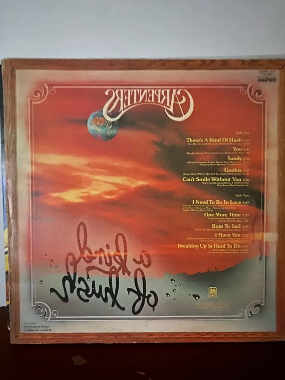 Vinil Carpenters - Foto 2