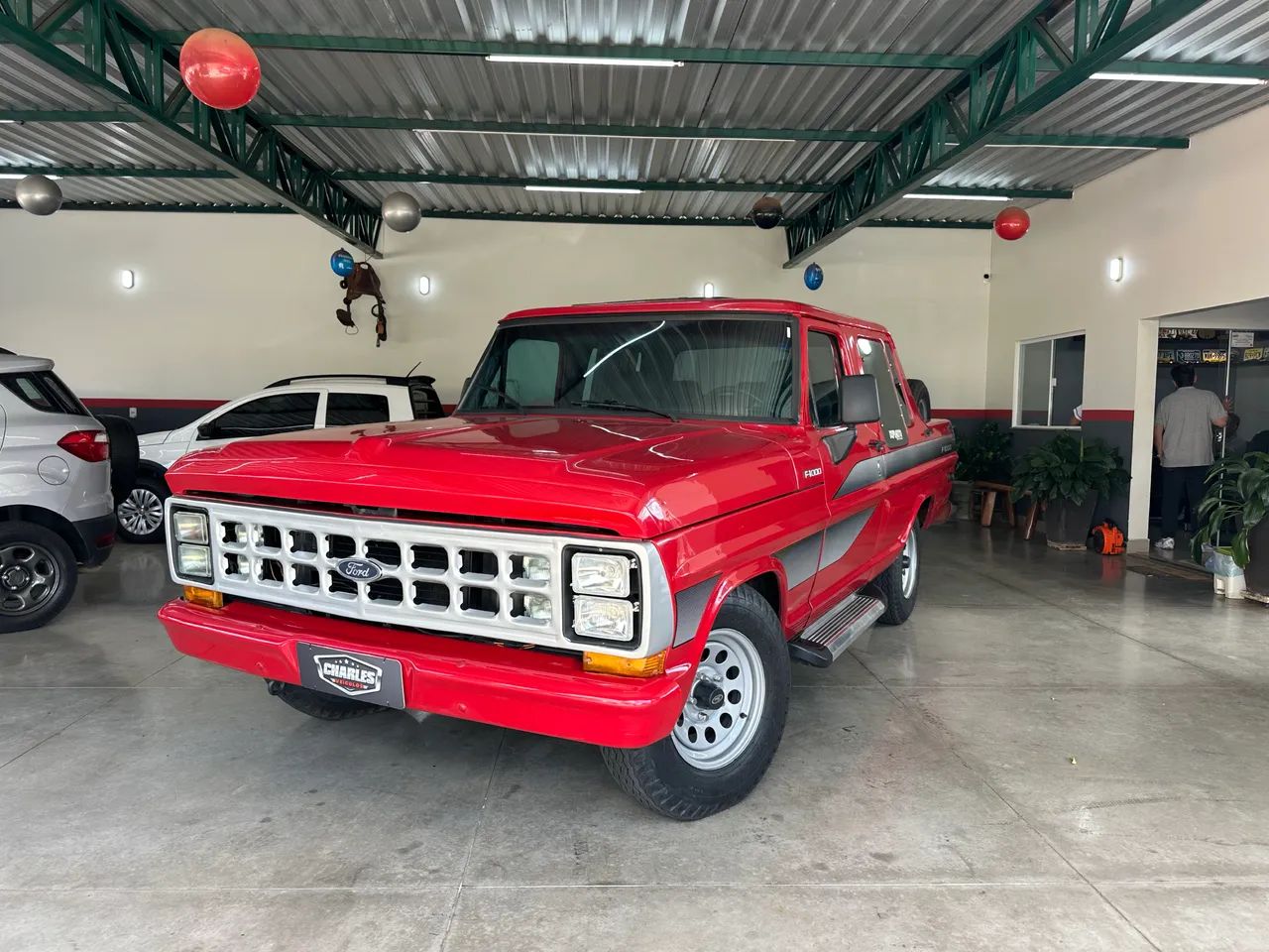Ford F-1000 S. S. Diesel / S.s. Diesel Turbo 1991