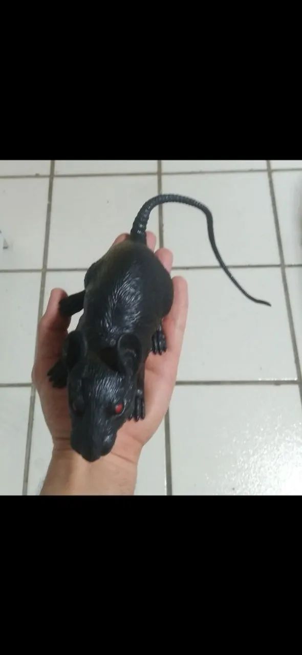 Rato de brinquedo de plastico