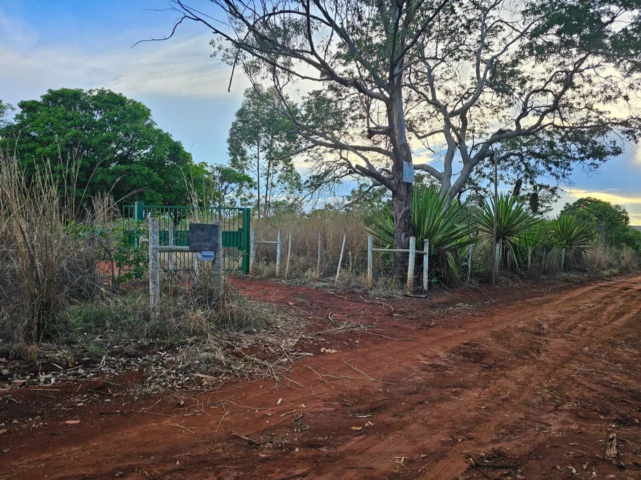 Foto - Brasília - Ceilândia Norte (Ceilândia)