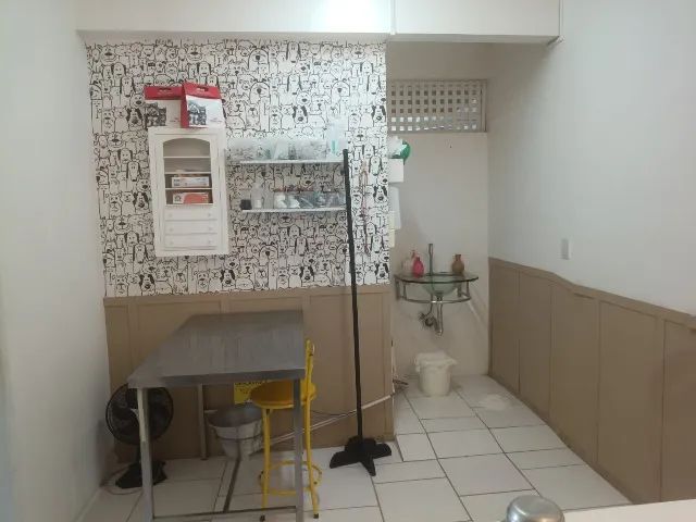 Agropecuária em Canasvieiras - Foto 2