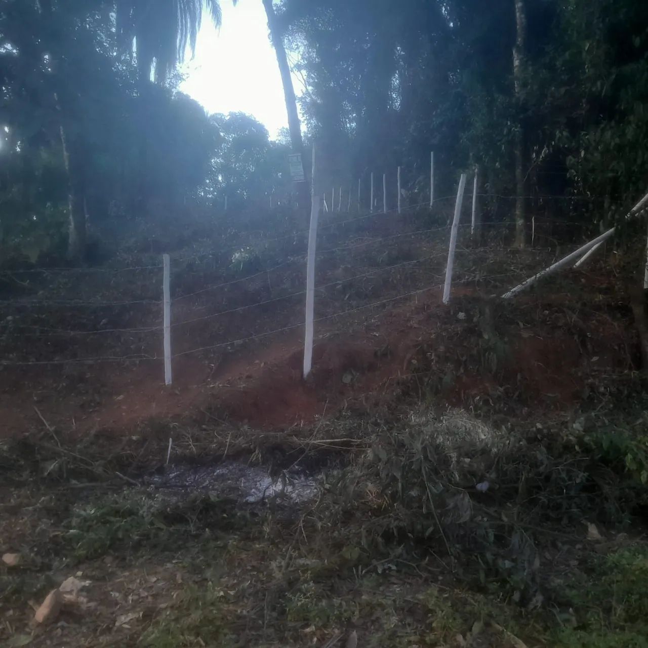 Lotes com escritura e registro  - Foto 4