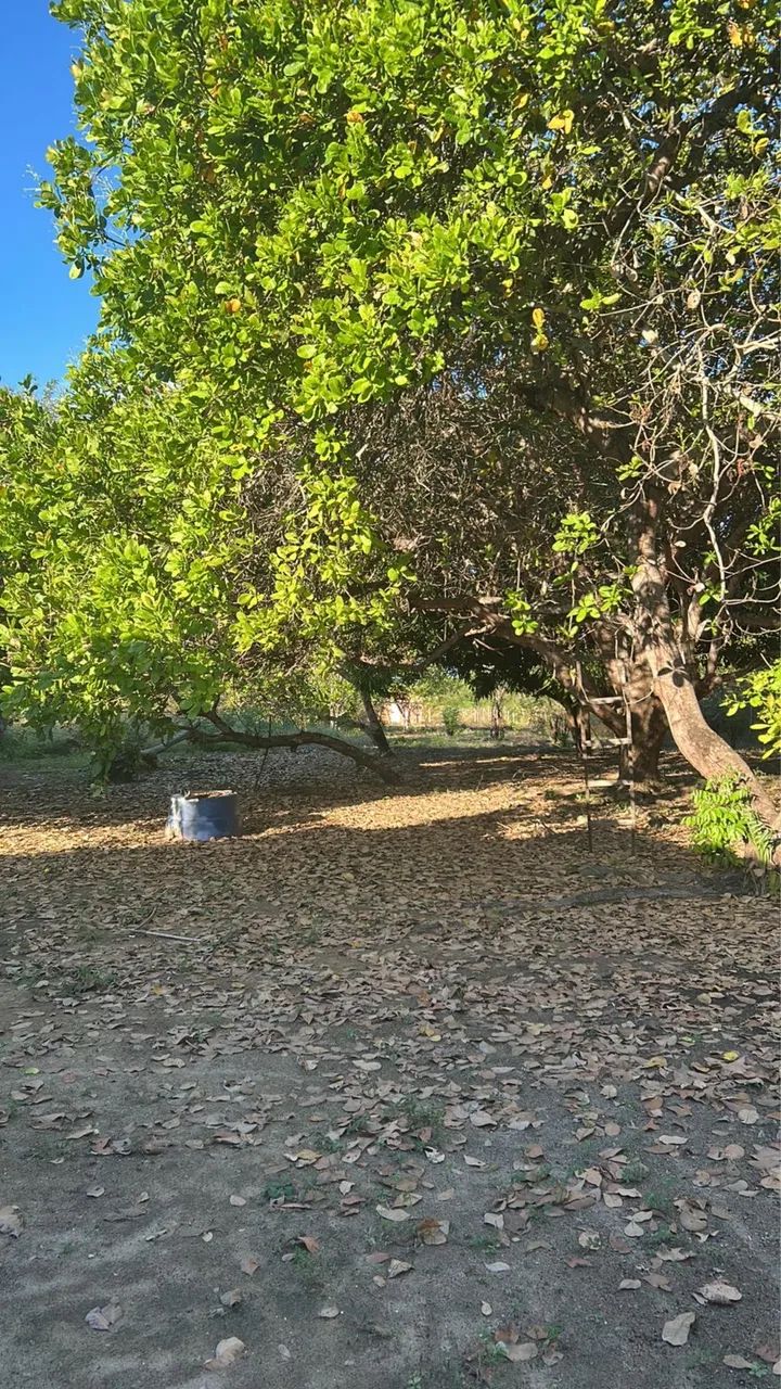 Terreno  - Foto 2