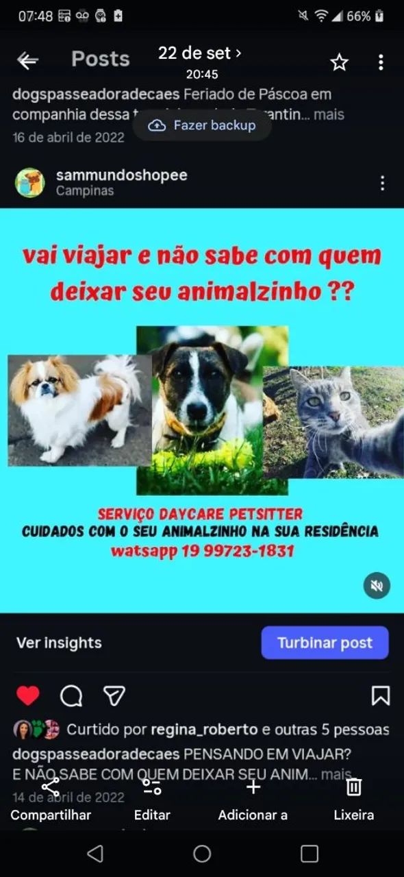 BABÁ PETSITTER PARA GATOS- 