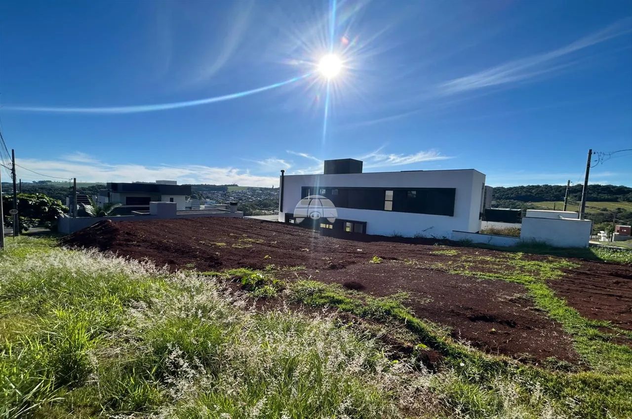 Vendas Terreno Pato Branco PR - Foto 5