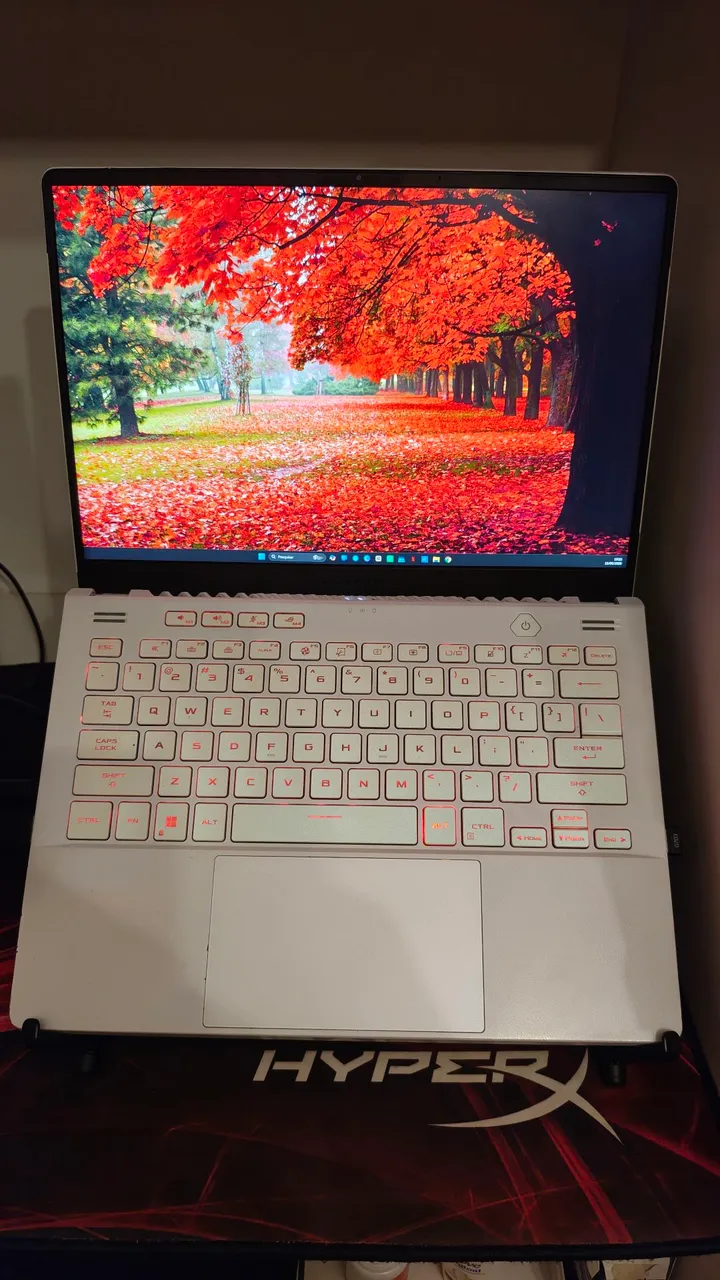Notebook Asus Zenbook S14 Core Ultra7 258v 32gb 1tb Ssd W11 Zumaia