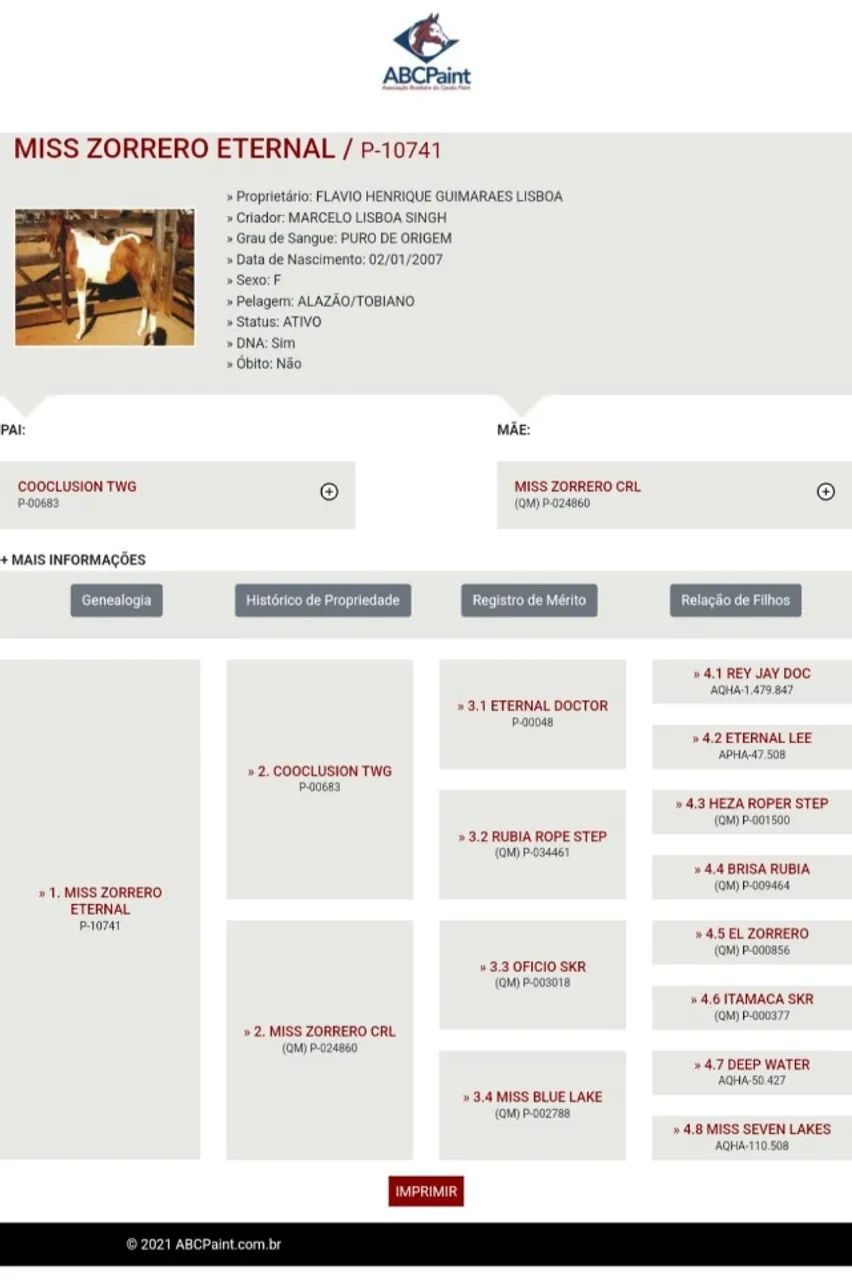 Egua Quarto de Milha para Tambor - Foto 2