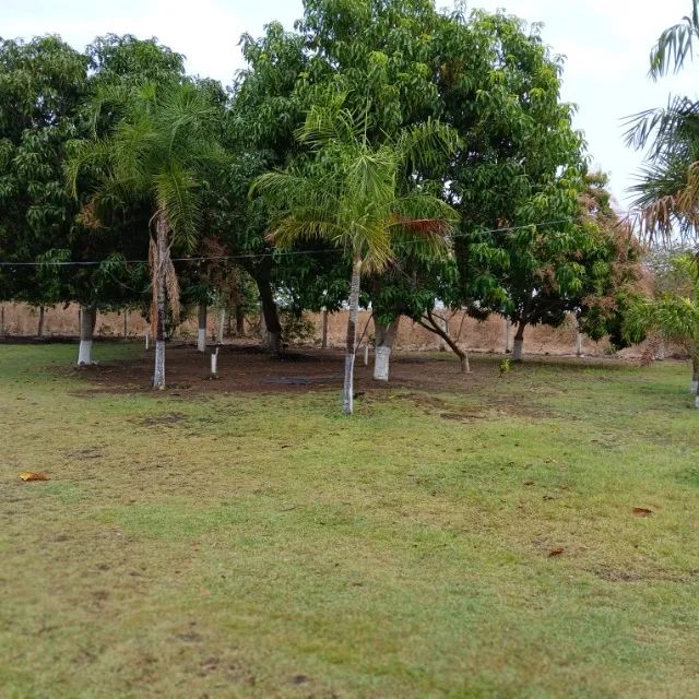 Rancho 2,1 Hectares com Casa 2 Suítes + Poço Artesiano - Foto 4