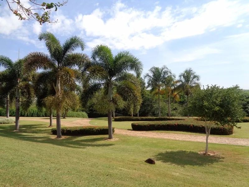 Terrenos e Chácaras - CONDOMÍNIO RESIDENCIAL MONTE ALEGRE - Foto 3