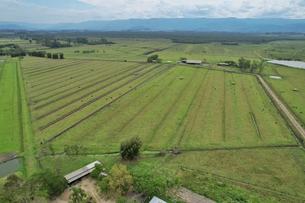 FAZENDA À VENDA - 193 HECTARES  - Foto 2