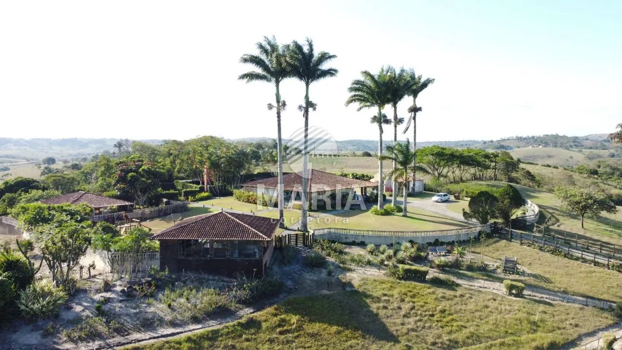 Fazenda à venda com 300 hectares com excelente acesso e uma extraordinária vista!! - Foto 7