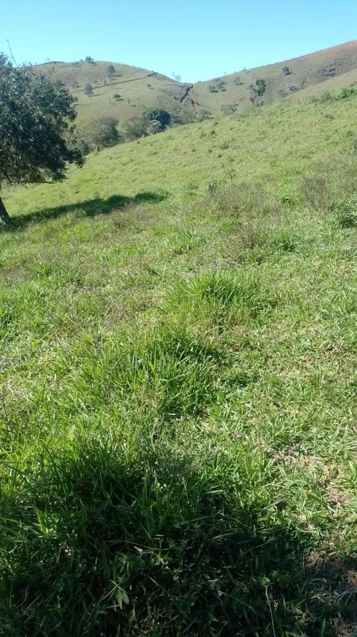 Vendo chácara em Paraibuna.  - Foto 2