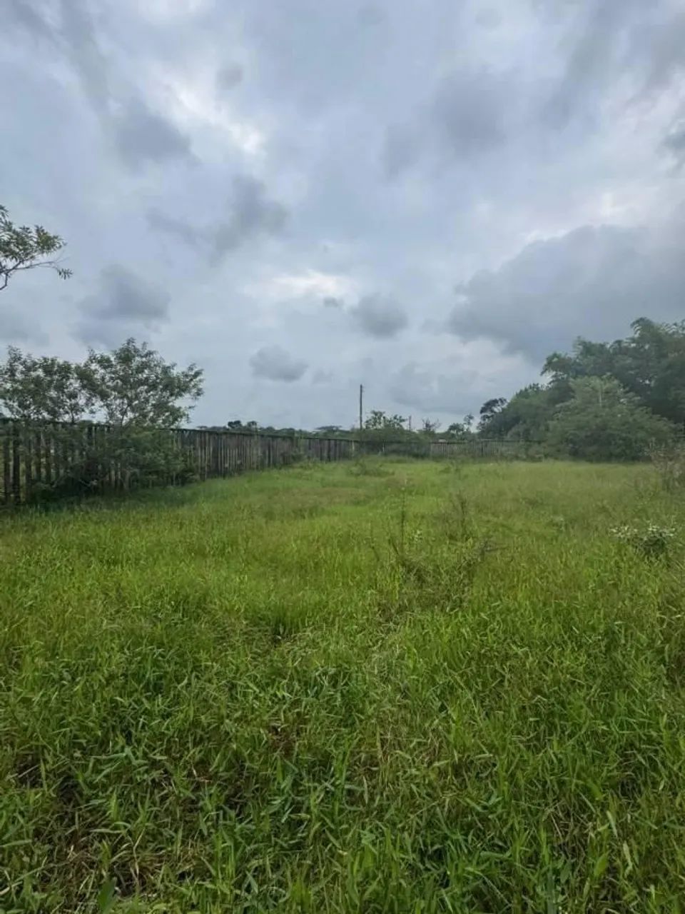 Lote/Terreno à Venda, Coronel - Itanhaém - Foto 3