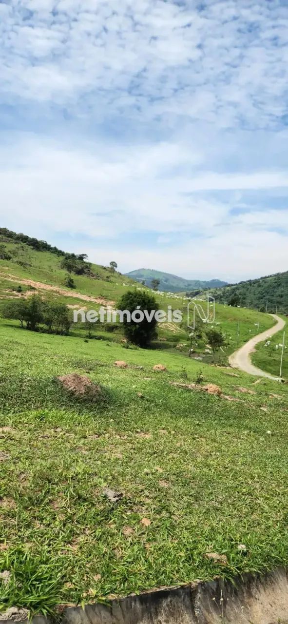 Venda Lote-Área-Terreno São Caetano da Moeda Moeda - Foto 3