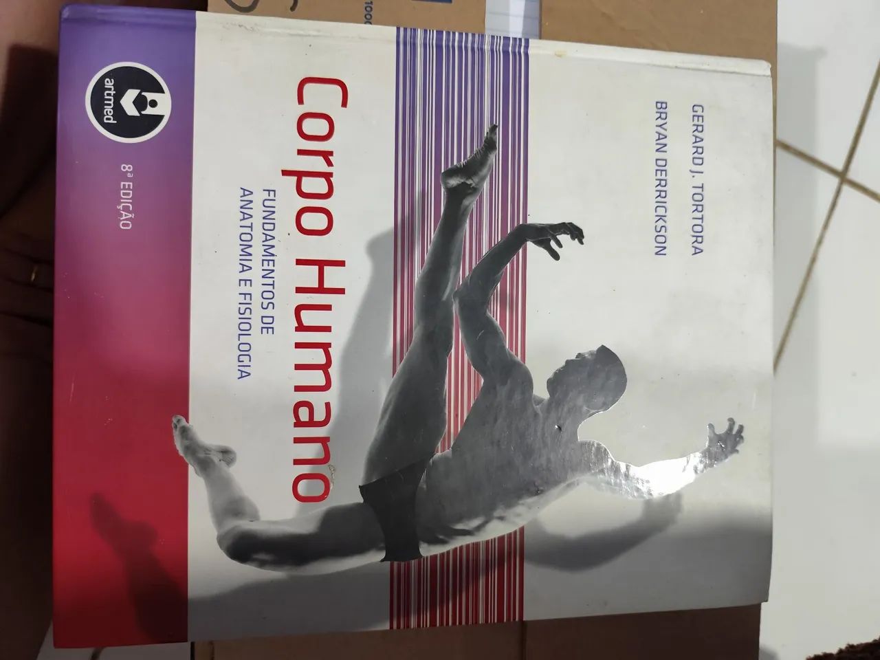 Livro Corpo Humano - Anatomia e Fisiologia - Ótimo estado