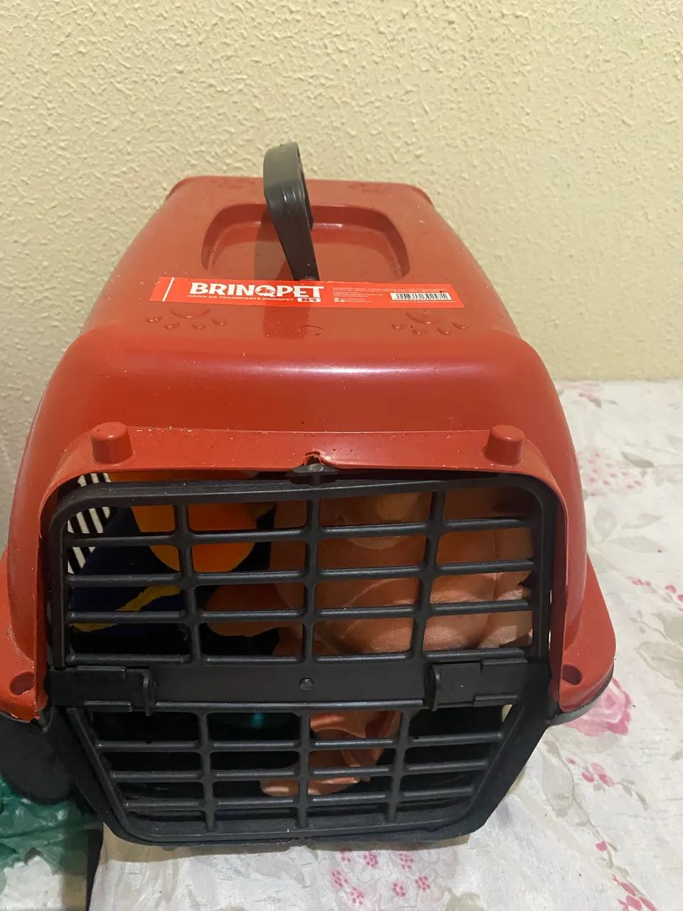 Caixa de transporte pet