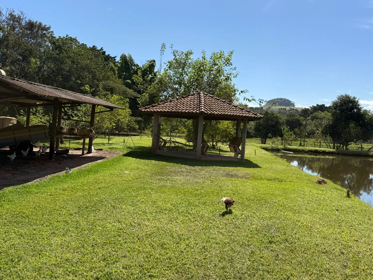Sítio entre Cravinhos e serra azul  - Foto 2