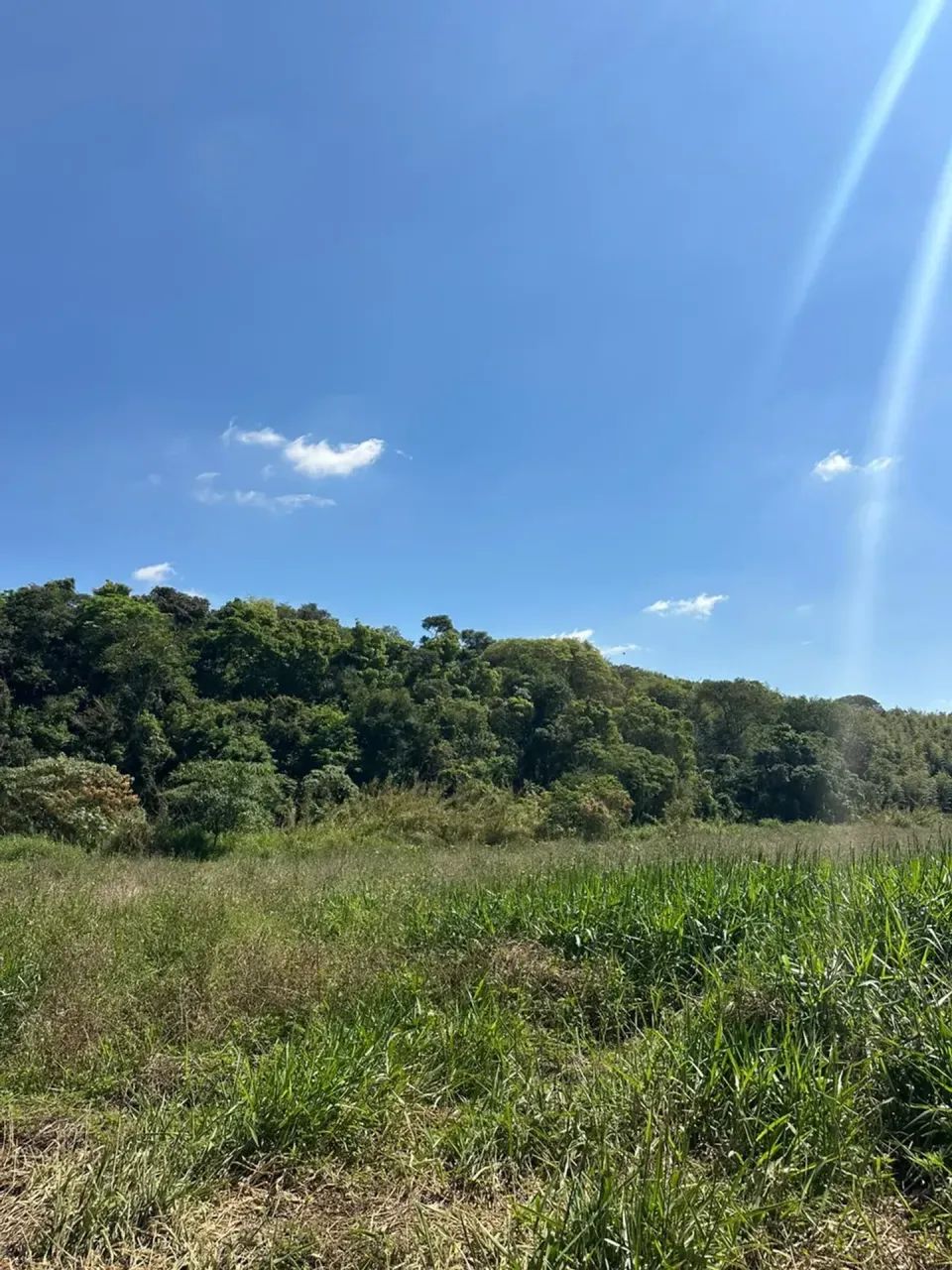 Terrenos com Natureza, Privacidade e Muito Espaço. - Foto 5
