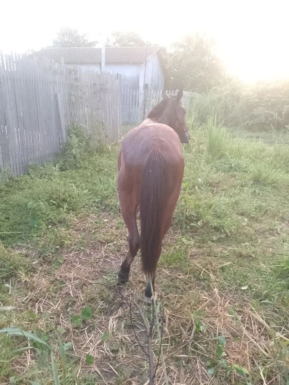 Vende-se polda de 2 anos e meio  - Foto 2