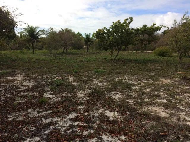 Foto - Porto Seguro - 