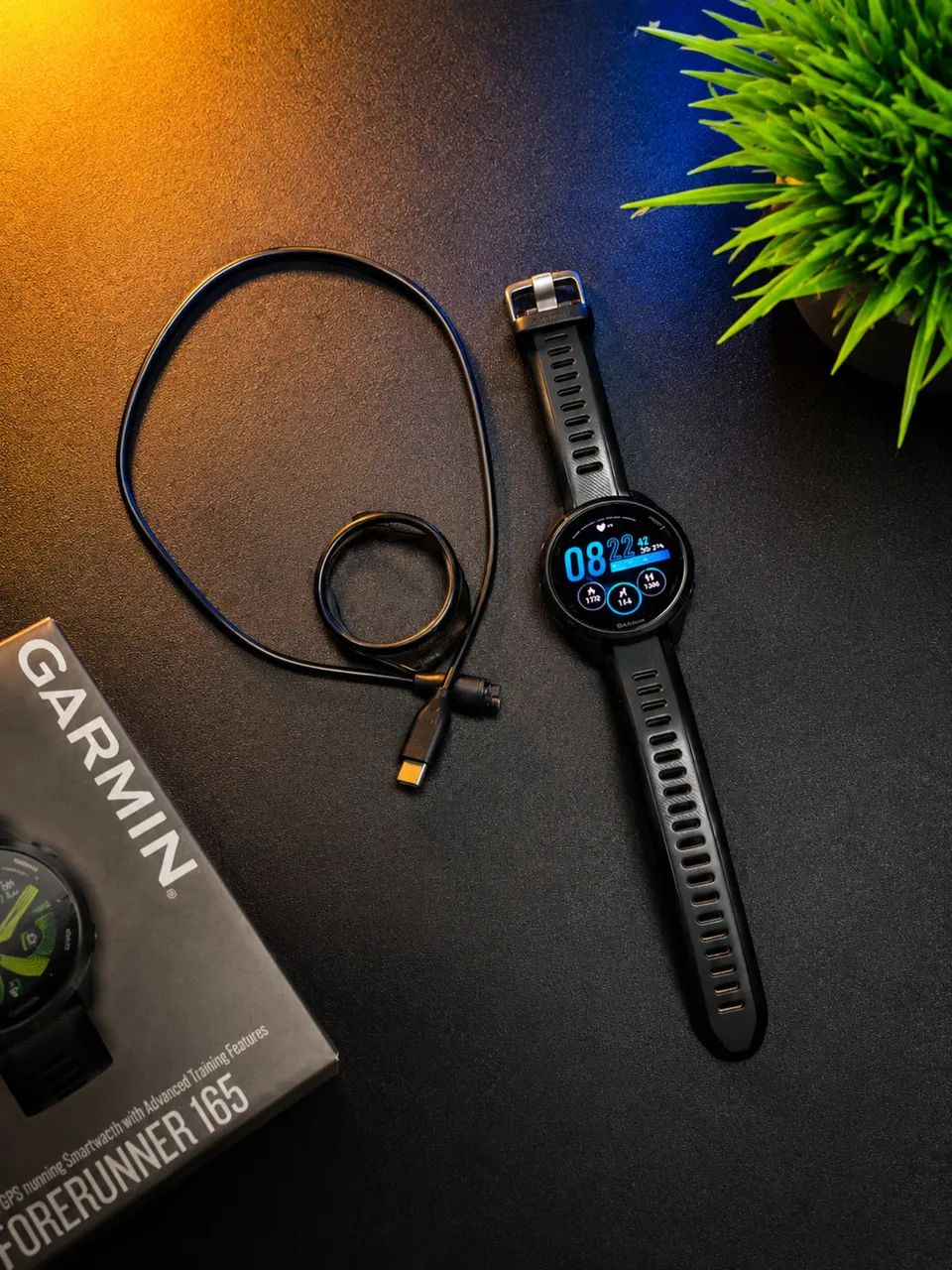 garmin forerunner 165